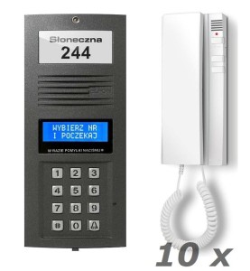 Domofon cyfrowy Elfon Optima 10 rodzinny.jpg